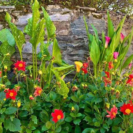 Il Granaio - Historic Molino Maufet Watermill - Willa