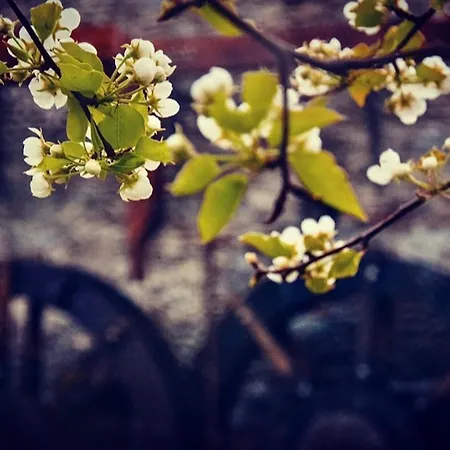 别墅 Il Granaio - Heritage In Molino Maufet Watermill - Rustic Escape *