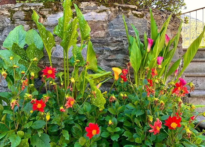 Il Granaio - Historic Molino Maufet Watermill - Villa