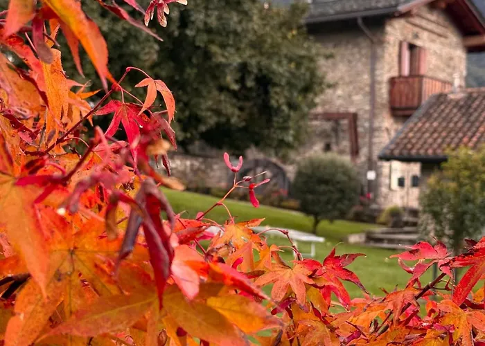 Il Granaio - Historic Molino Maufet Watermill - Villa